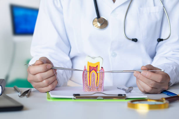 Best Urgent Tooth Repair  in Blue Jay, OH